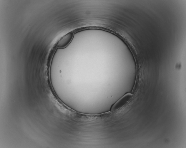 X0000112151072200908281335