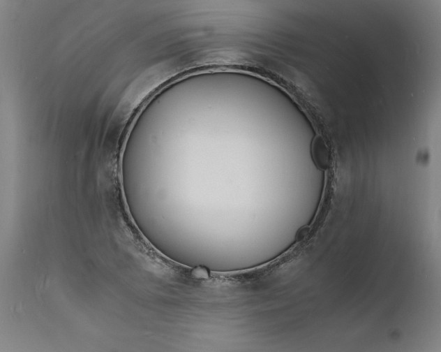 X0000112151073200908281335