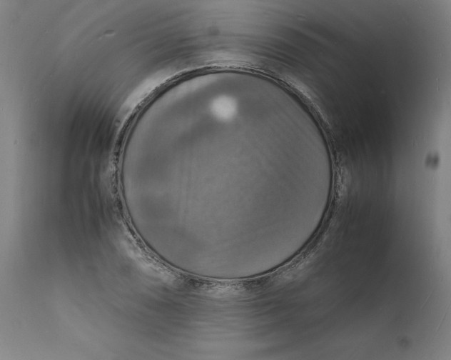 X0000112151074200908281335