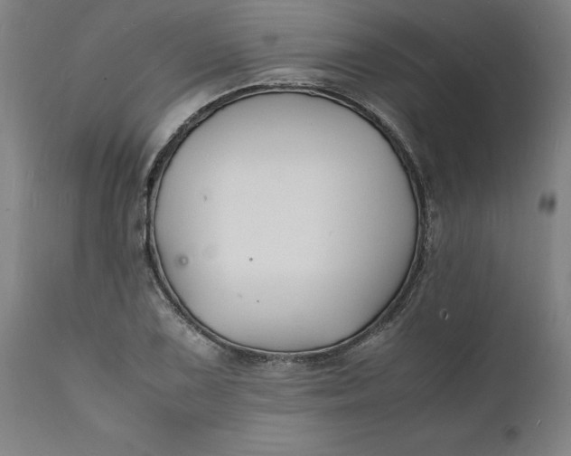 X0000112151075200908281335