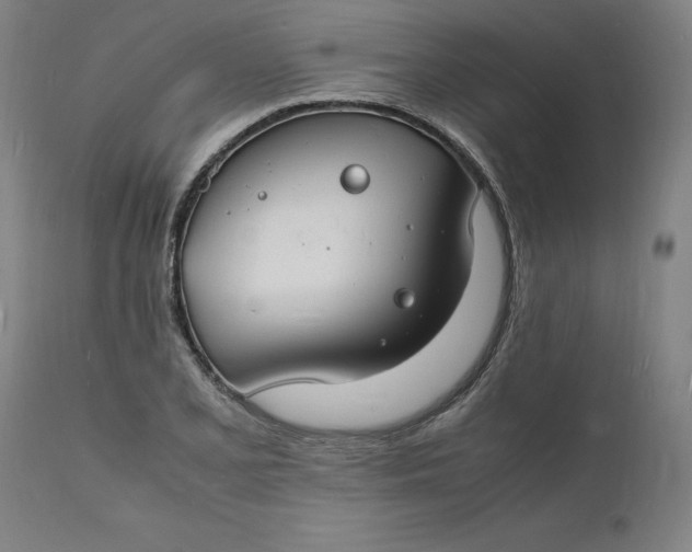 X0000112151077200908281334