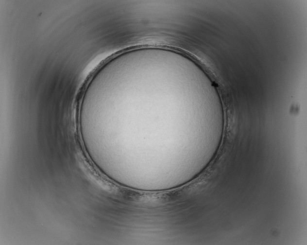 X0000112151078200908281334