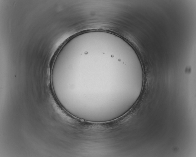 X0000112151079200908281334