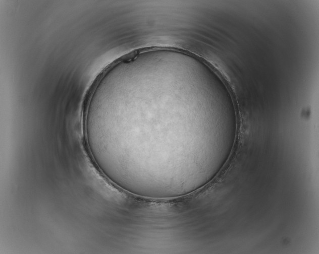 X0000112151080200908281334