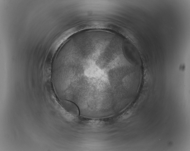 X0000112151081200908281334