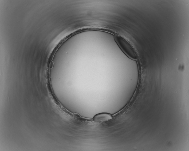 X0000112151085200908281334