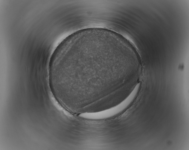 X0000112151088200908281334