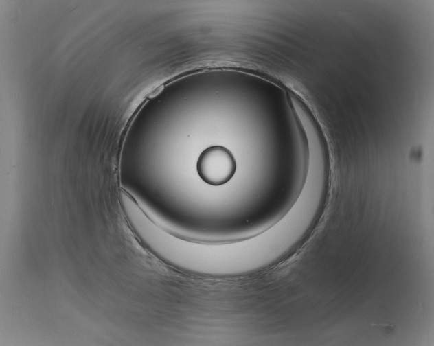 X0000112151089200908281334