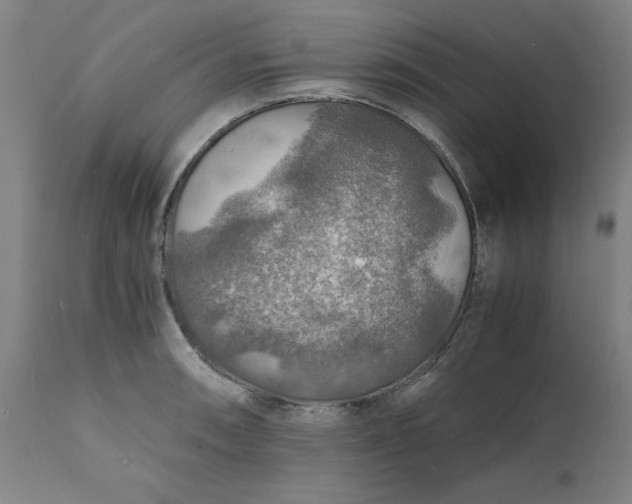 X0000112151090200908281334