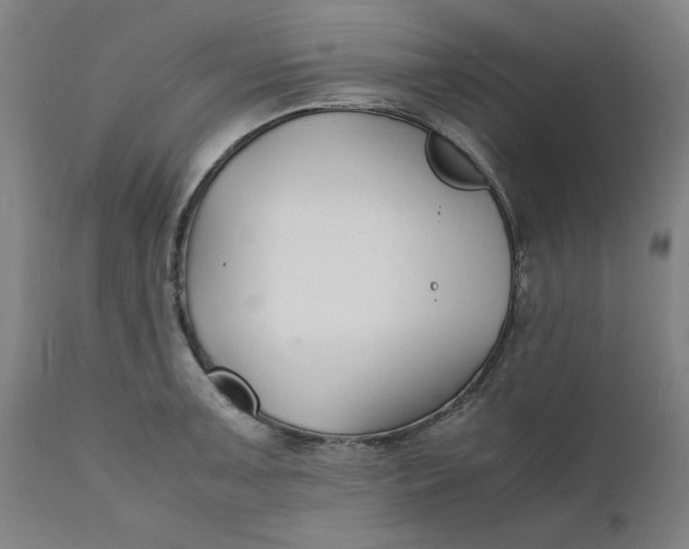 X0000112151091200908281334