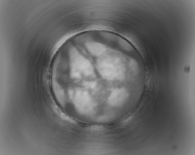 X0000112151094200908281334