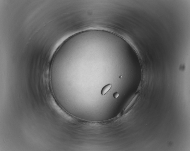 X0000112151100200908281334