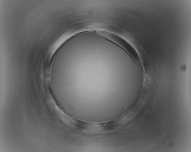 X0000112151101200908281334