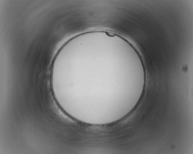 X0000112151102200908281334
