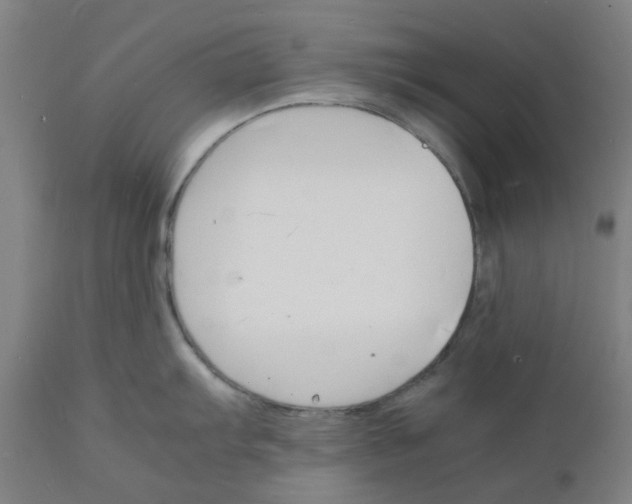 X0000112151103200908281334