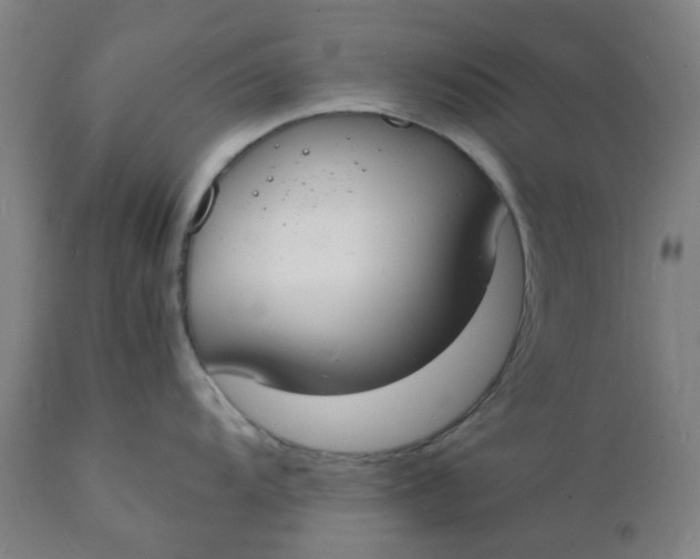 X0000112151104200908281334