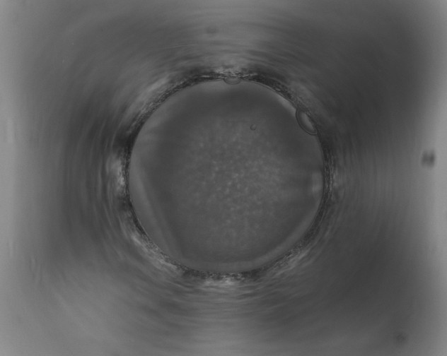 X0000112151106200908281333