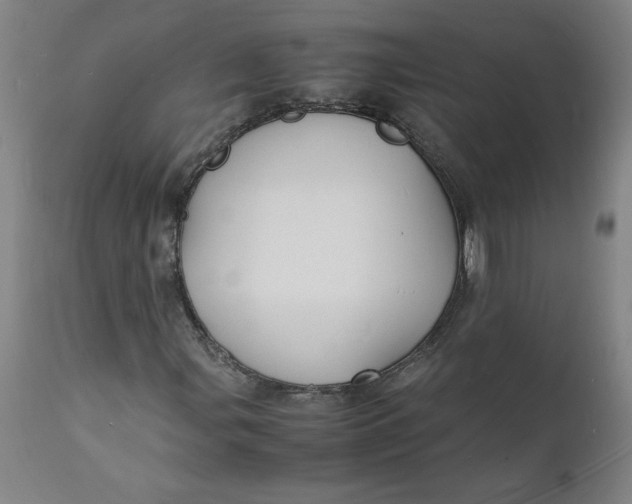 X0000112151107200908281333