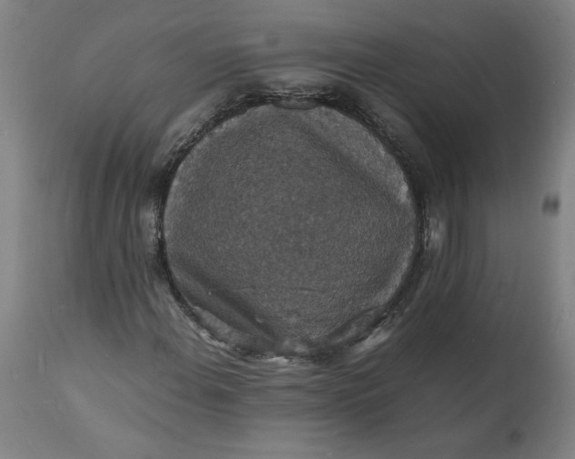 X0000112151108200908281333