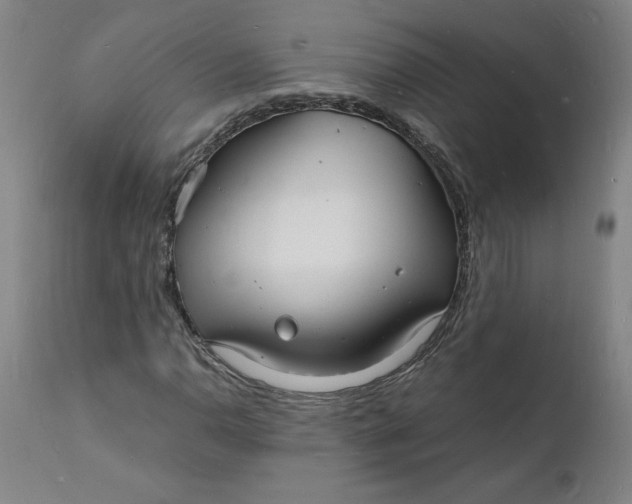X0000112151110200908281334