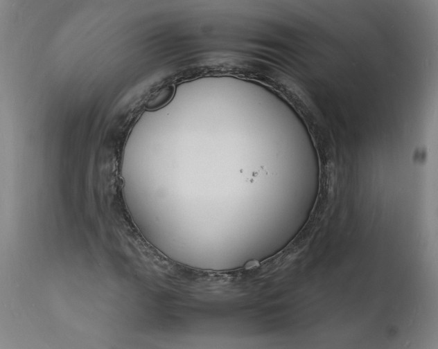 X0000112151111200908281334