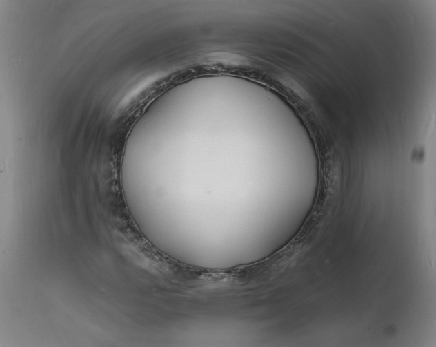 X0000112151112200908281334