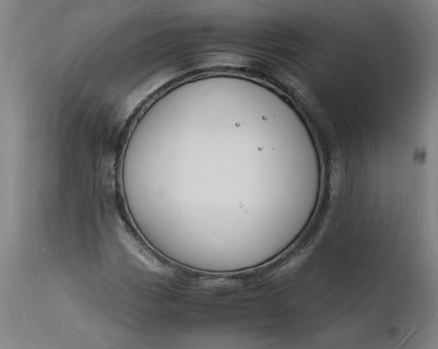 X0000112151113200908281334