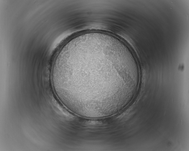 X0000112151115200908281334