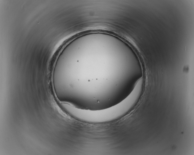X0000112151116200908281334