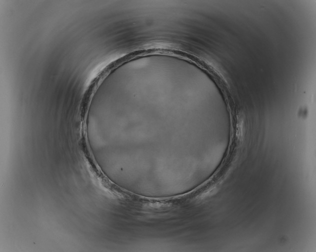 X0000112151117200908281334