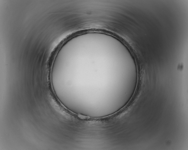 X0000112151118200908281334
