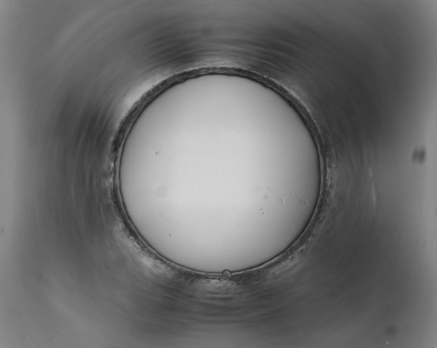 X0000112151119200908281334