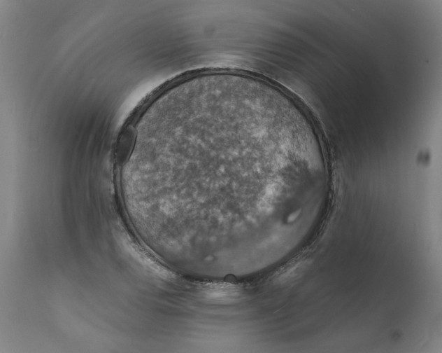 X0000112151120200908281334