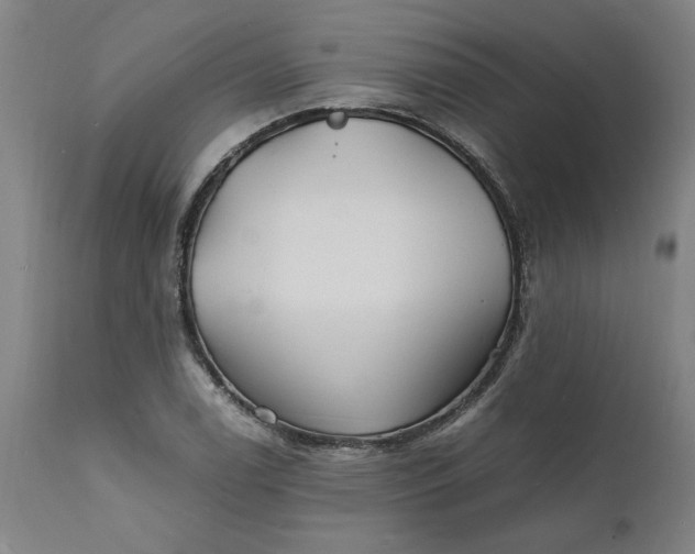 X0000112151122200908281334