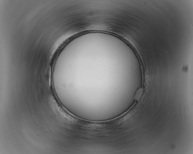 X0000112151123200908281334