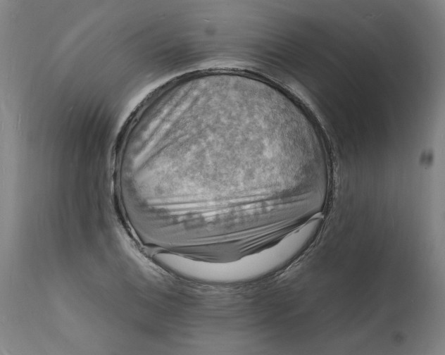 X0000112151124200908281334