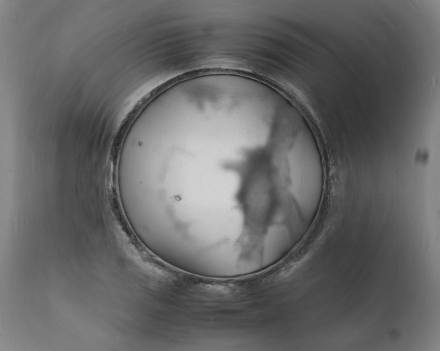 X0000112151125200908281334