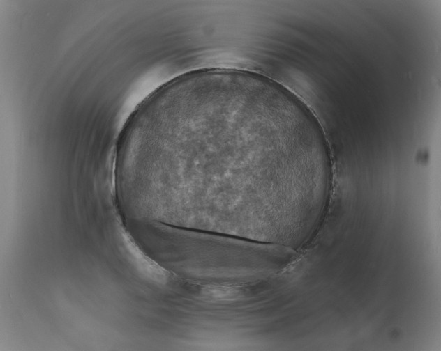 X0000112151128200908281334