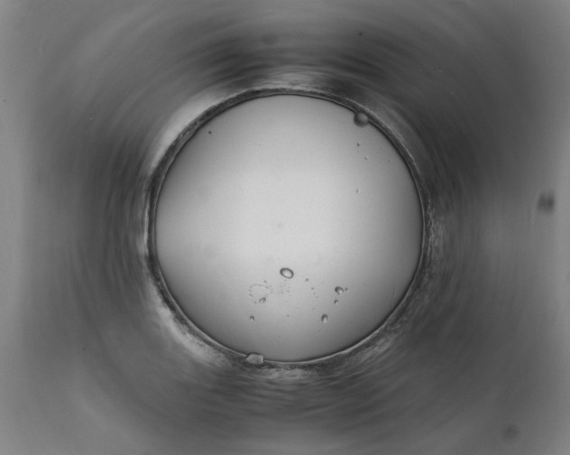 X0000112151131200908281334