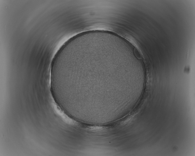X0000112151132200908281334