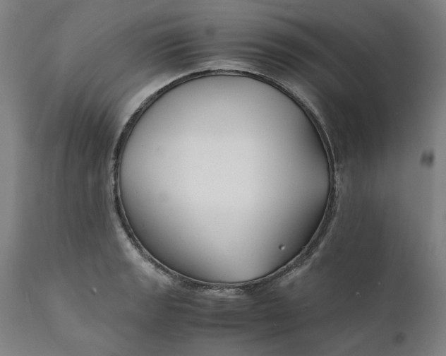 X0000112151133200908281334