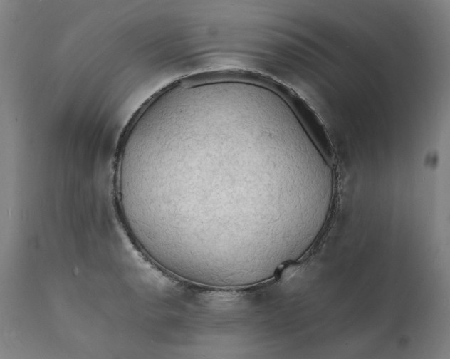 X0000112151134200908281334