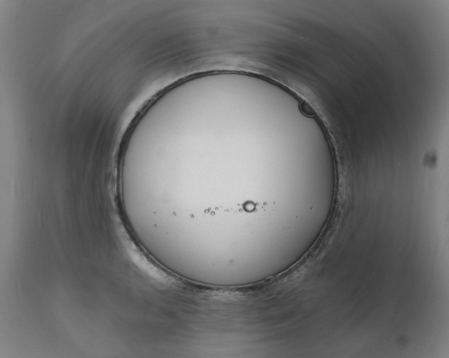 X0000112151136200908281334
