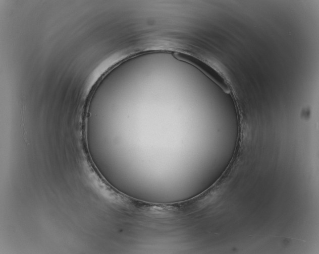 X0000112151138200908281334