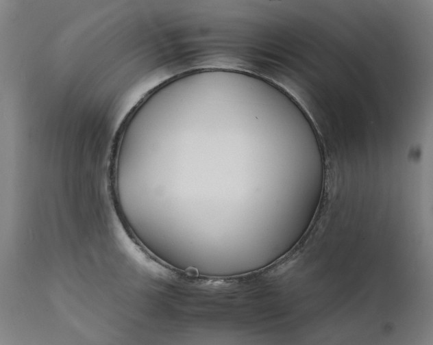 X0000112151139200908281334