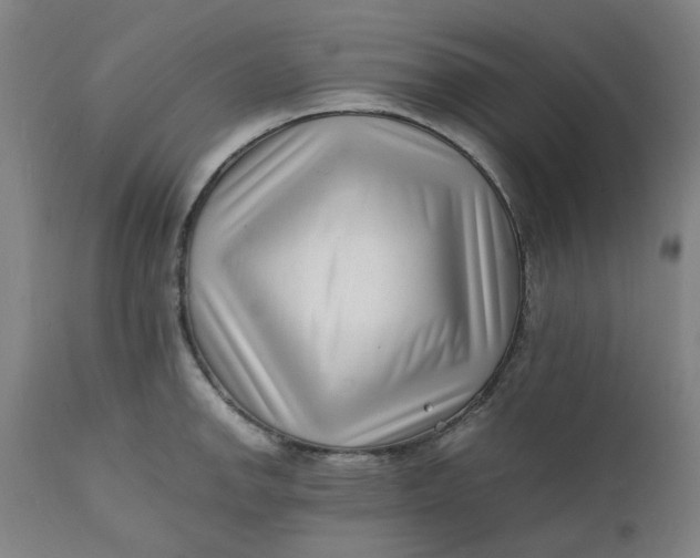 X0000112151142200908281334