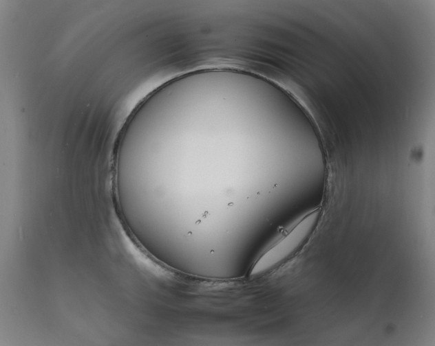 X0000112151143200908281334