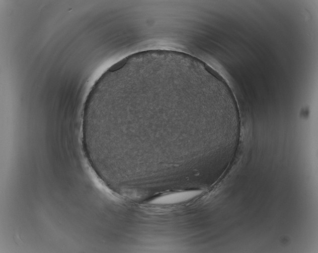 X0000112151144200908281334