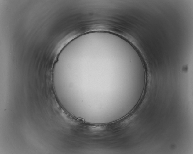 X0000112151145200908281334