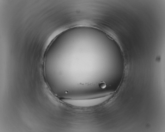 X0000112151146200908281334